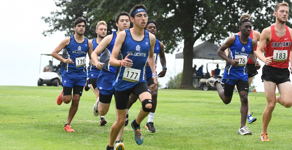 Cross Country Runs at Fighting Bees Invitational